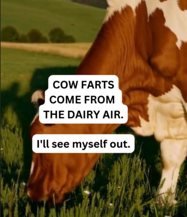 1749962821757.png