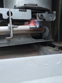 IMG_3978.jpeg